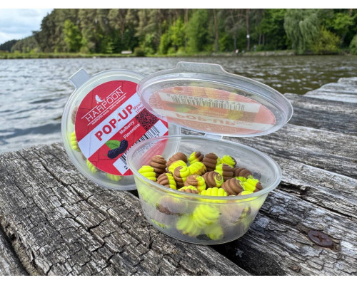 Бойл HARPOON Pop UP 10*6мм МУШЛЯ жовто-коричнева  Mulberry Florentina